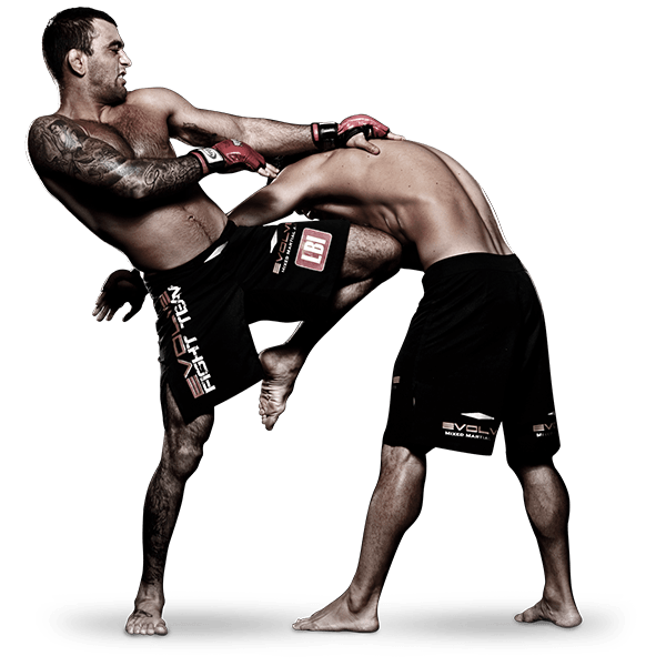 Combattants MMA en action